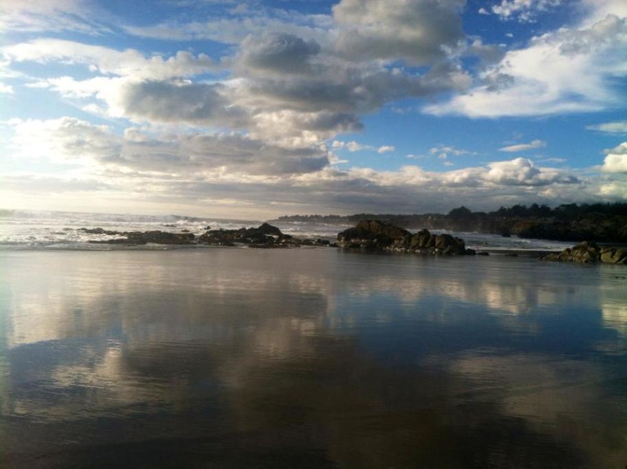 hiking, Walking, Nature, Wildflower, Geology, Historical, Architectural Tours