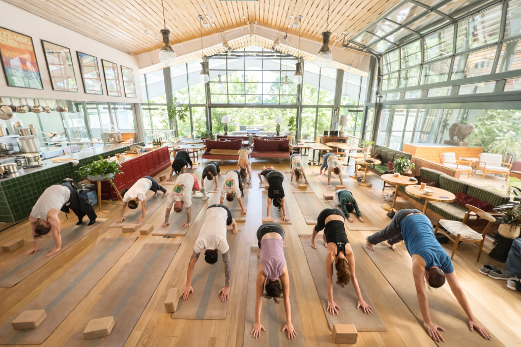 WellFound Experiences