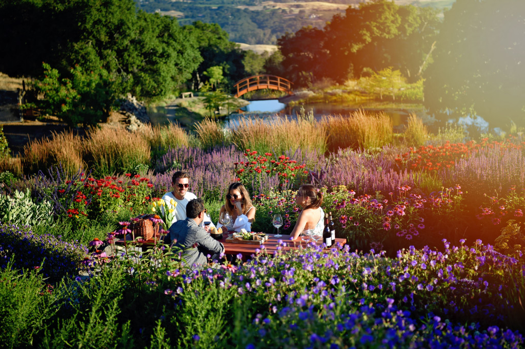 Signature Tasting Experience in the garden