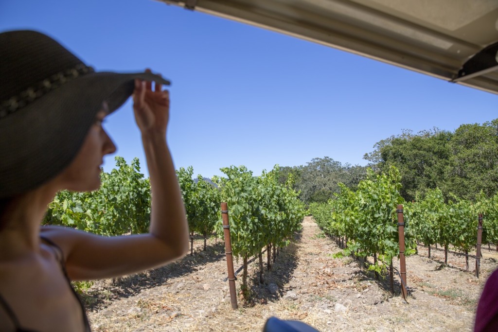 Vineyard Tour