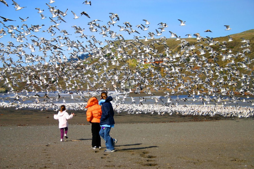 Nature provides experiences and wonder for children.