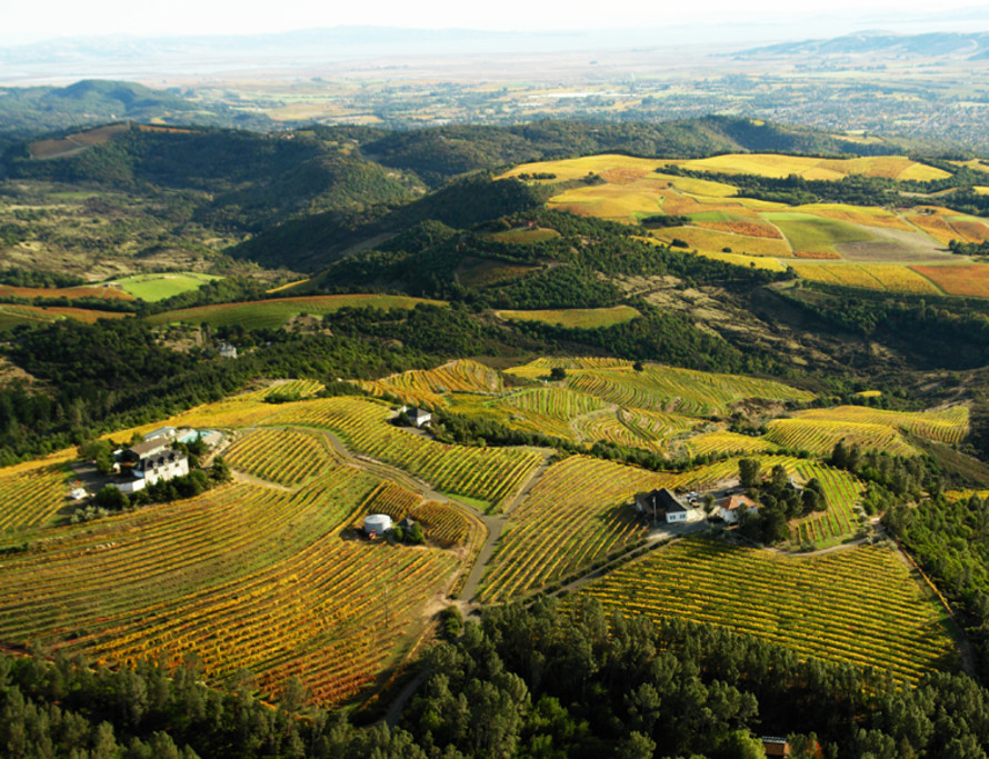 Mountain Terraces Vineyard - Mountain Terraces Vineyard