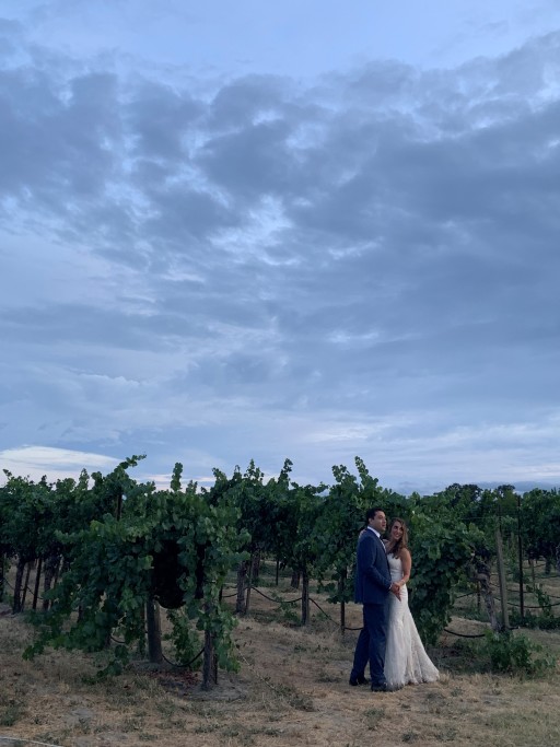 Vineyard Wedding in August