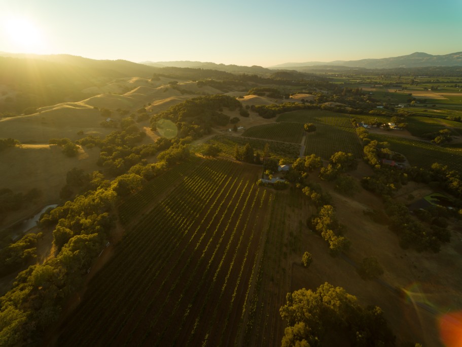Aerial Bacigalupi Vineyards