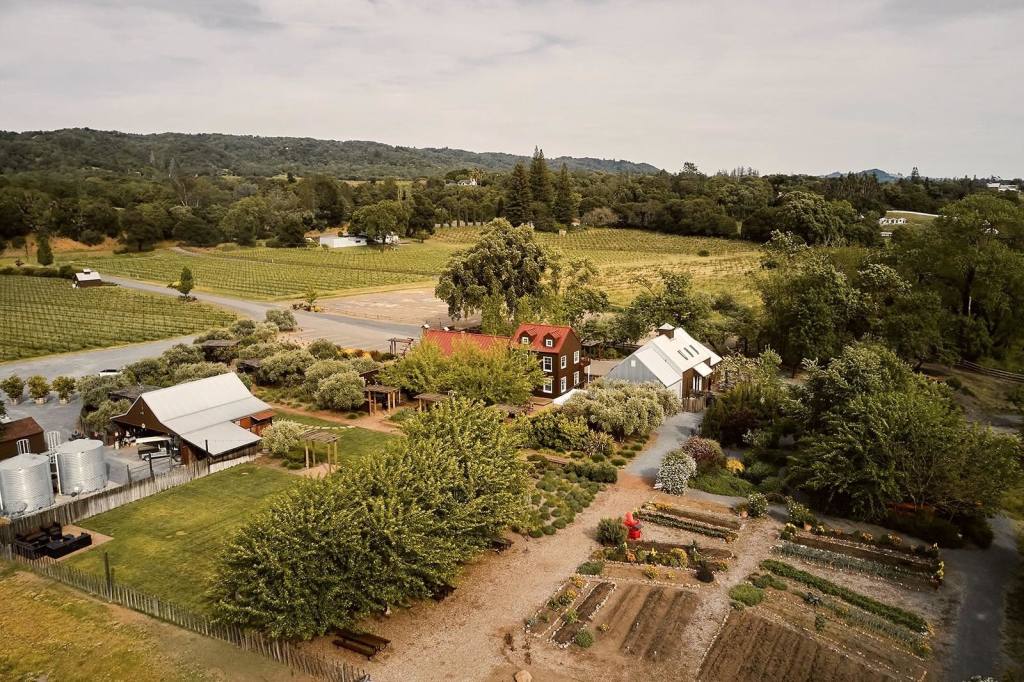 Aesthete Winery & Farm