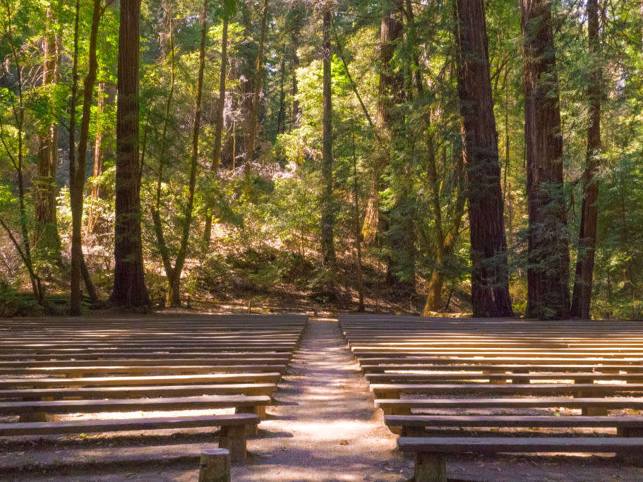 Armstrong Redwoods State Natural Reserve