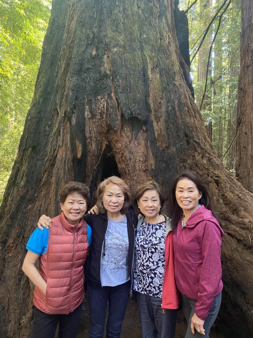 Forest Bathing at the Grove of Old Trees in Occidental