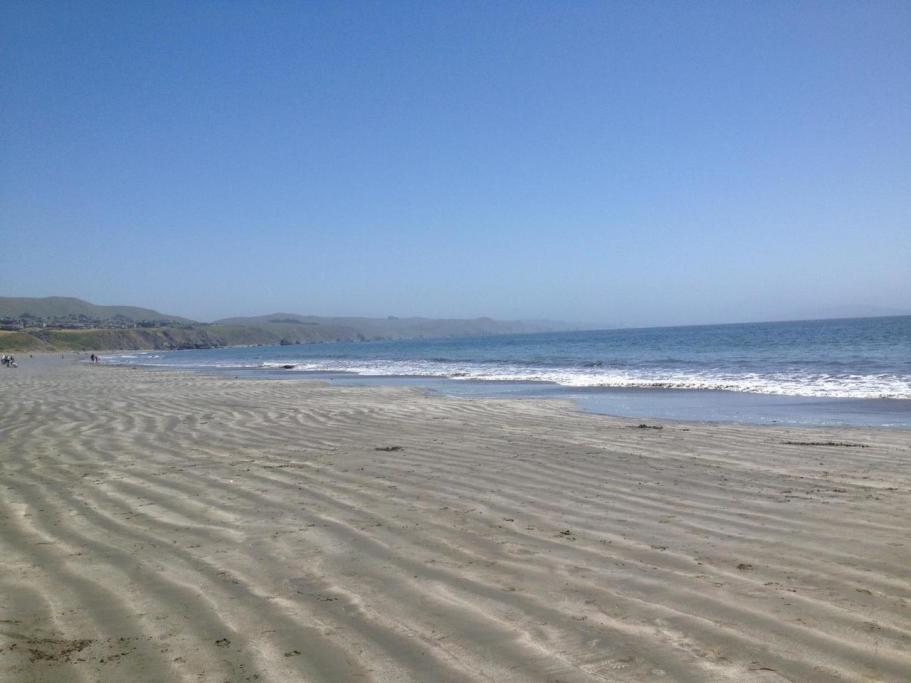 Bodega Bay Rentals