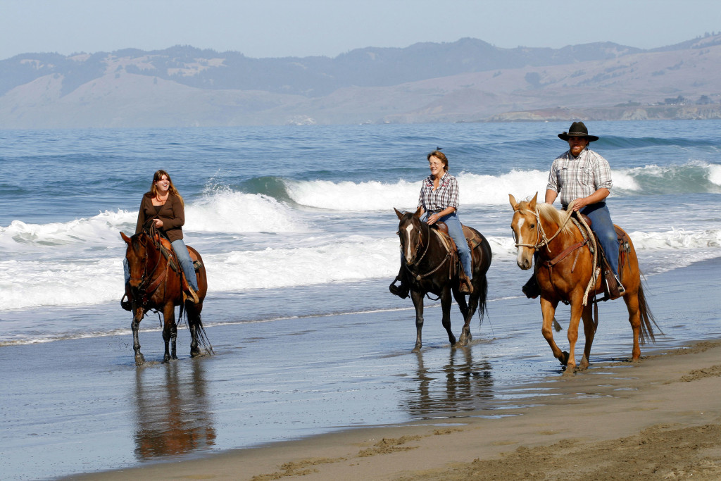 Horse back rides on the beach