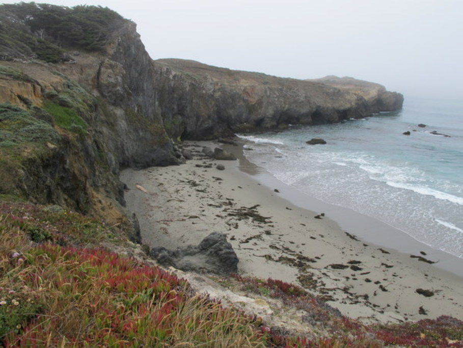 Black Point Coastal Access Trail in The Sea Ranch