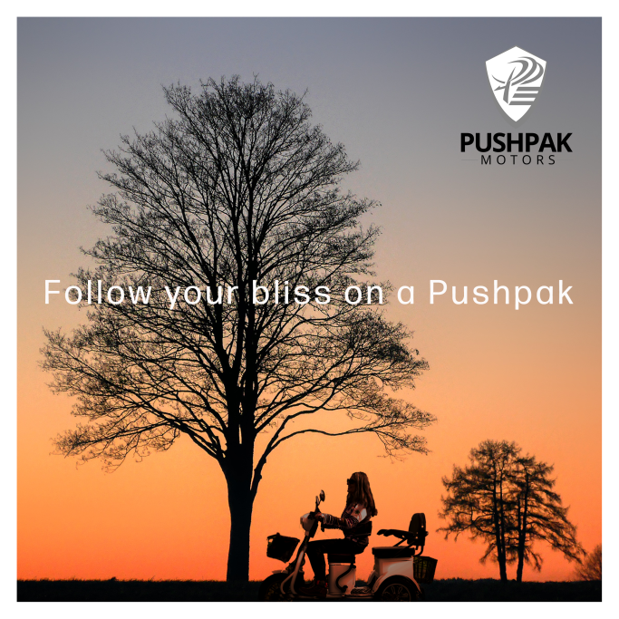 Follow your bliss on a Pushpak