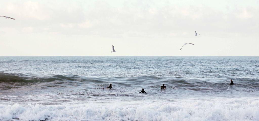 Bodega Bay Ocean Surfing