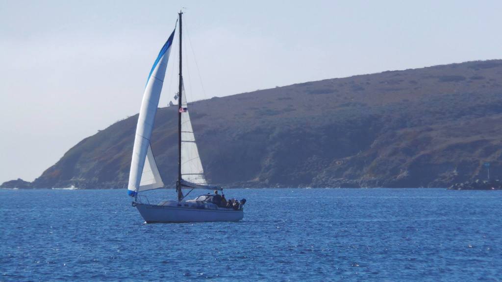 Bodega Bay Sailing