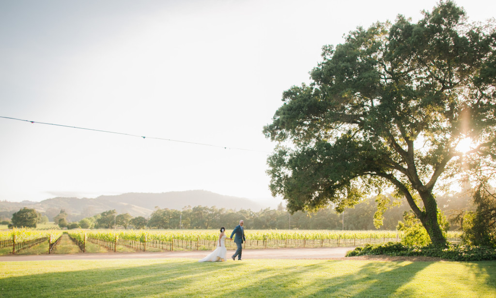 Vineyard Wedding