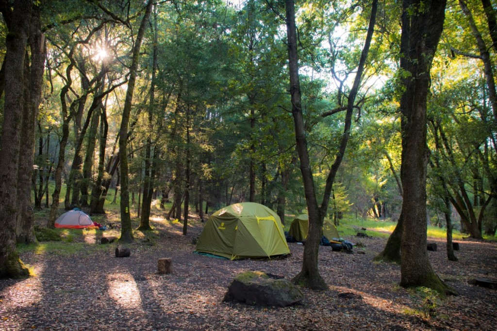 Camping at Sugarloaf Ridge State Park - Sugarloaf's peaceful campground