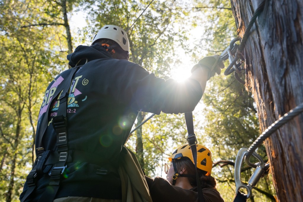 Sunlight at Ziplines - Photo by Russian River Media