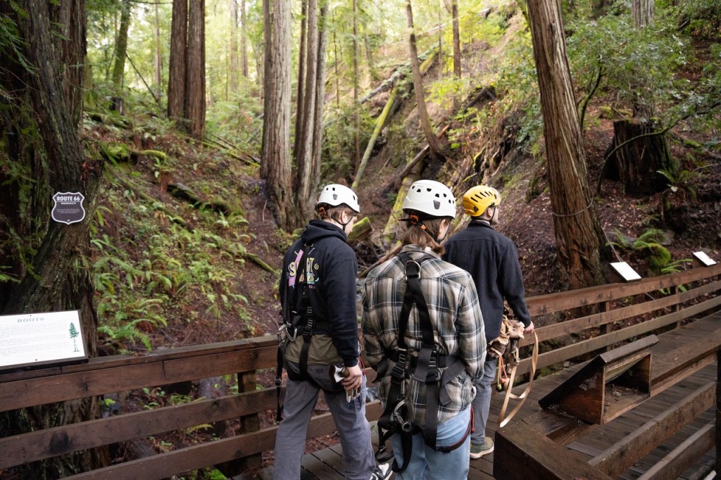 Zipliners in the Redwoods - Photo by Russian River Media