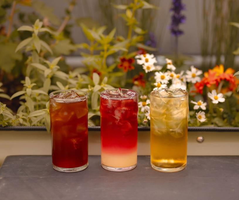 Iced tea in the courtyard