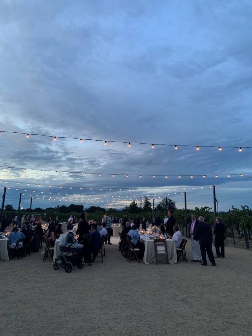 Dining in the Vines