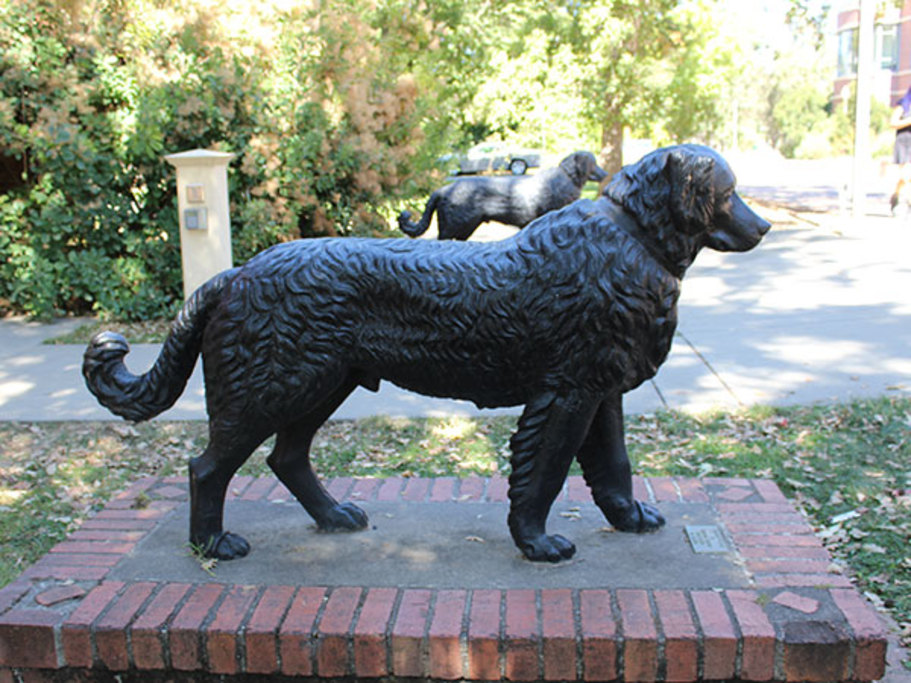 Dog Sculptures - Cast in 1850