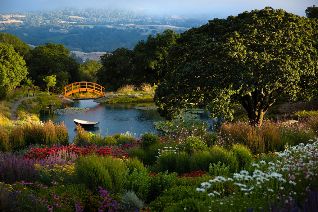 Coursey Graves Estate Pond