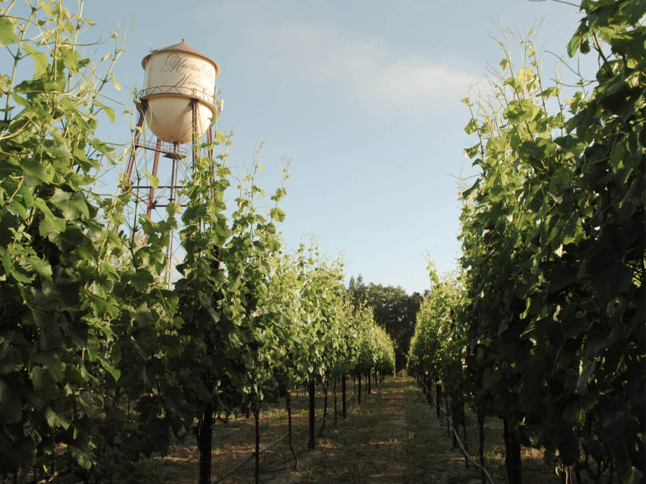 Estate and Historic Water Tower