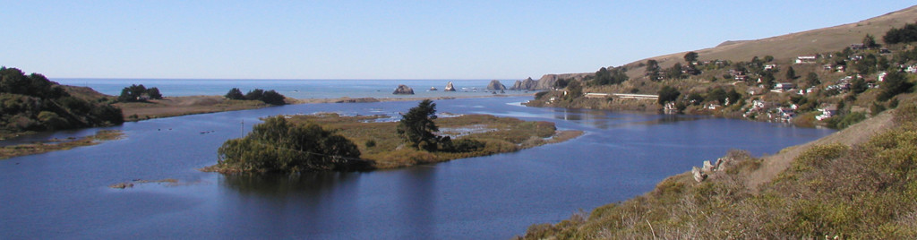 Estuary High Tide