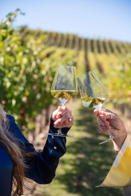 Estate vineyard cheers!!!