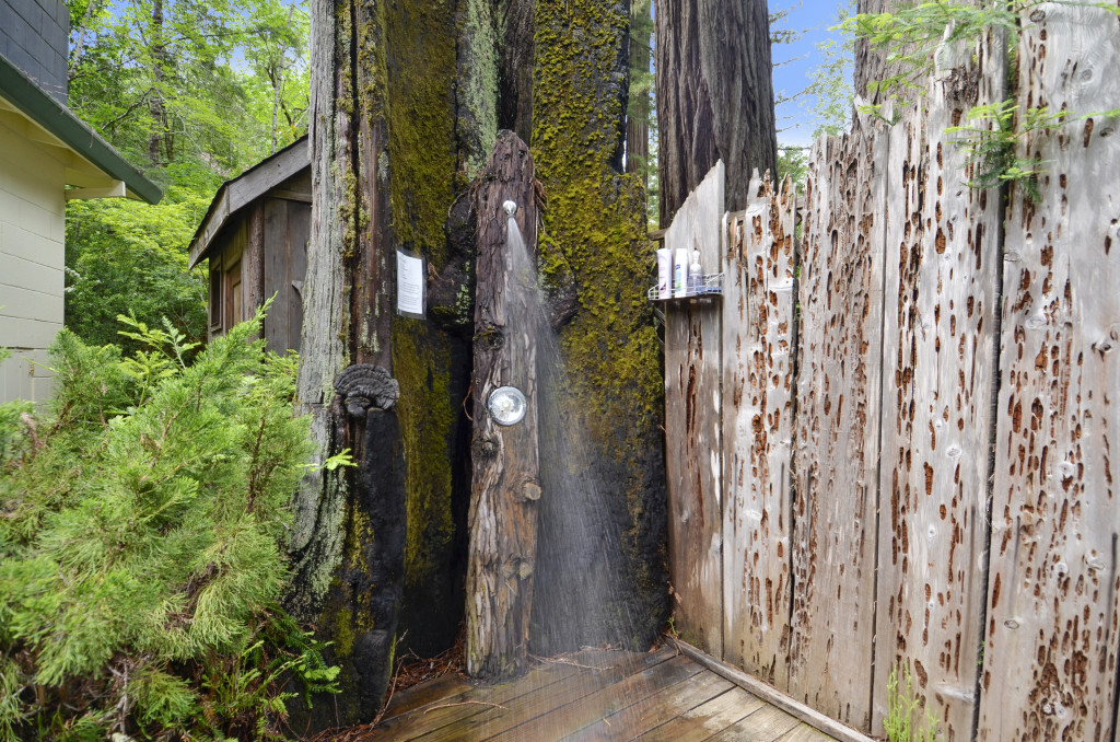 Outdoor Shower at Sequoia Beach Dreamery
