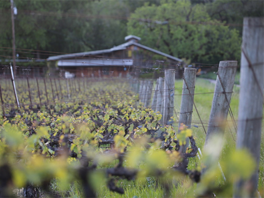 Garden Creek Winery