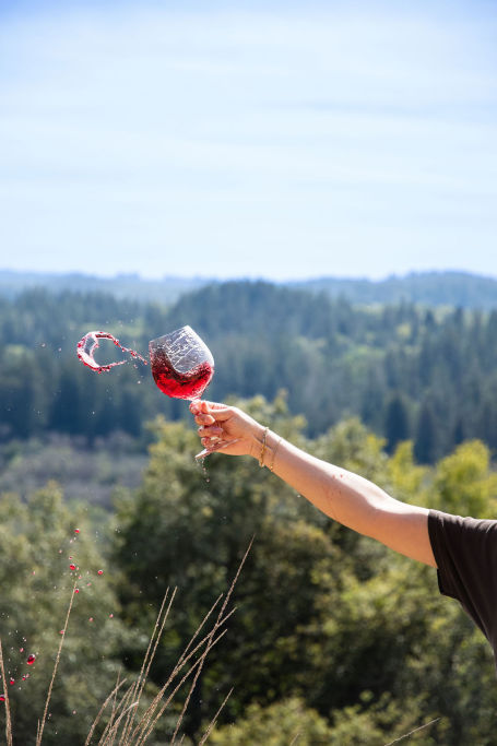 Russian River Bird's Eye View