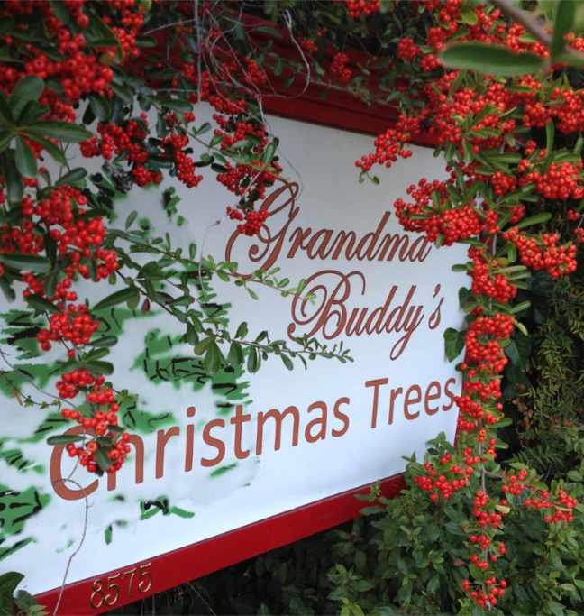 Grandma Buddy's Christmas Trees 2
