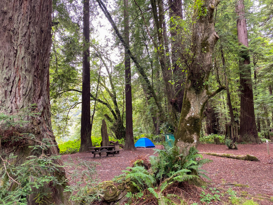 Gualala Campsite with Tent