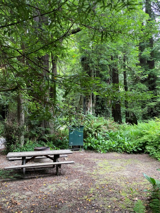 Gualala Point Regional Park Campsite