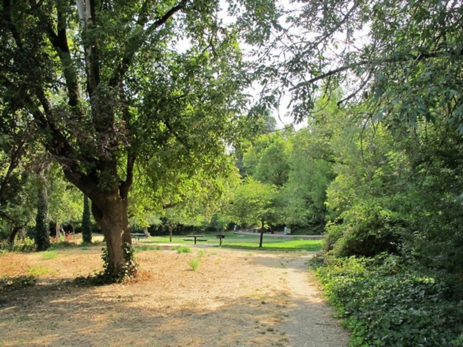 Guerneville River Park