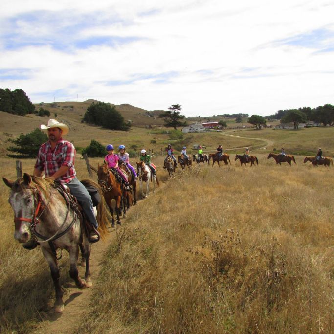 Horse N Around Trail Rides