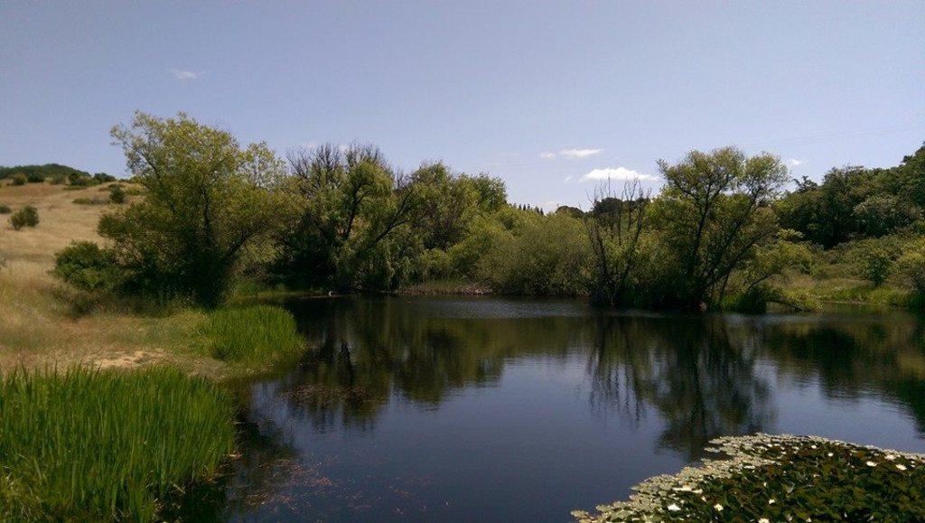 Fox Pond at Healdsburg Ridge Open Space Preserve