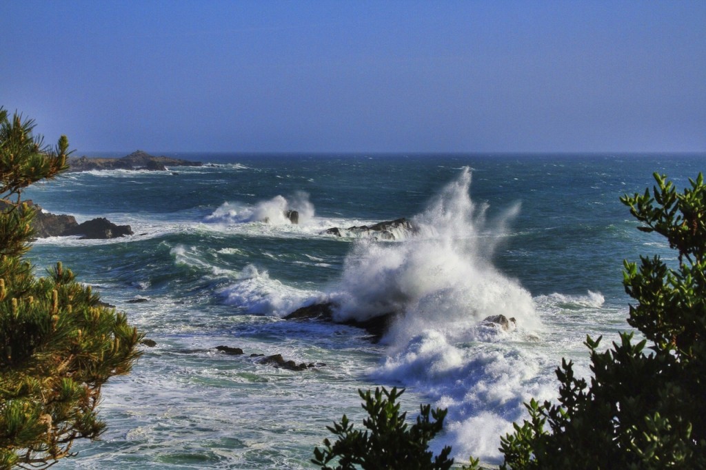 Hiking the Sonoma Coast in winter