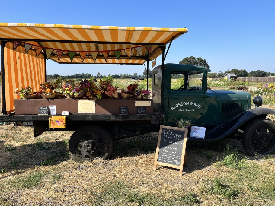 Farm Stand