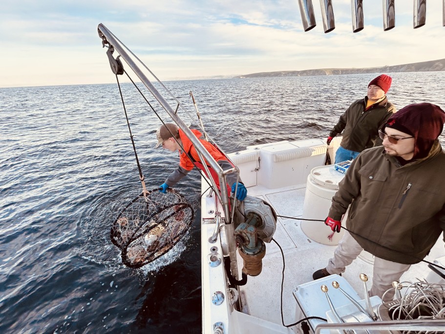 Crabbing for Dungeness Crab