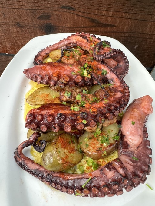 Octopus