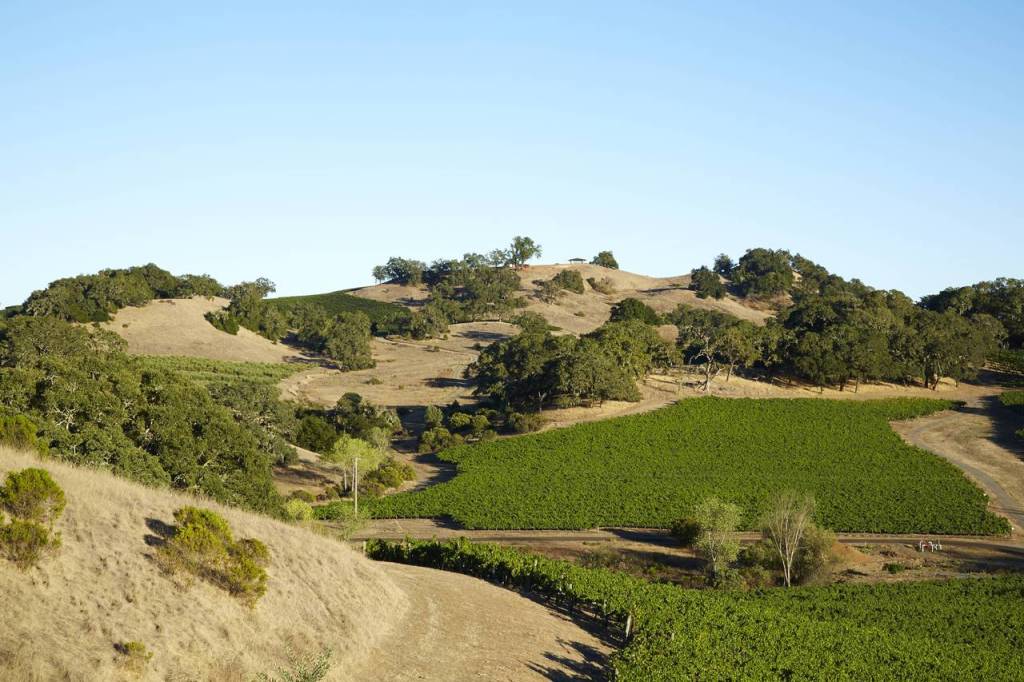 Jordan Winery Estate Vineyards