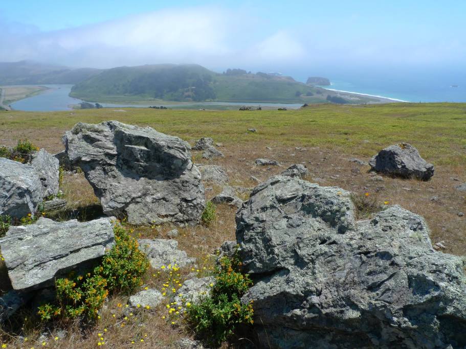 Jenner Headlands Preserve