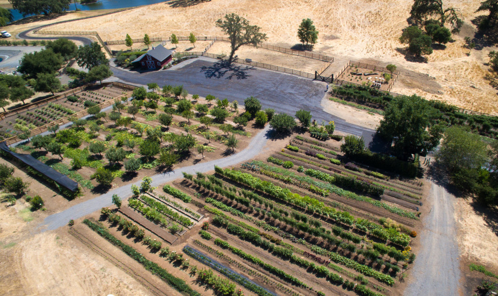 Jordan Winery Garden Aerial View