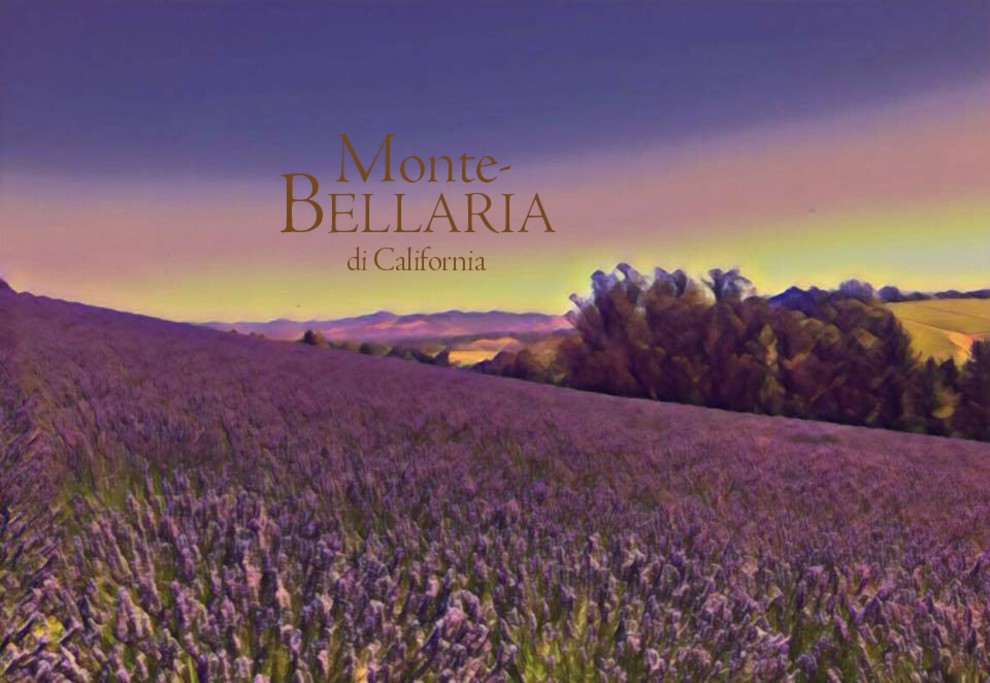Monte-Bellaria Artistic by J Tam