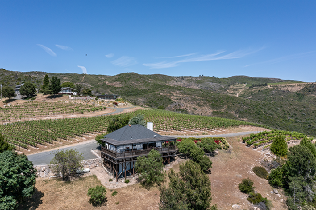 Mountain Terraces Winery and Vineyard