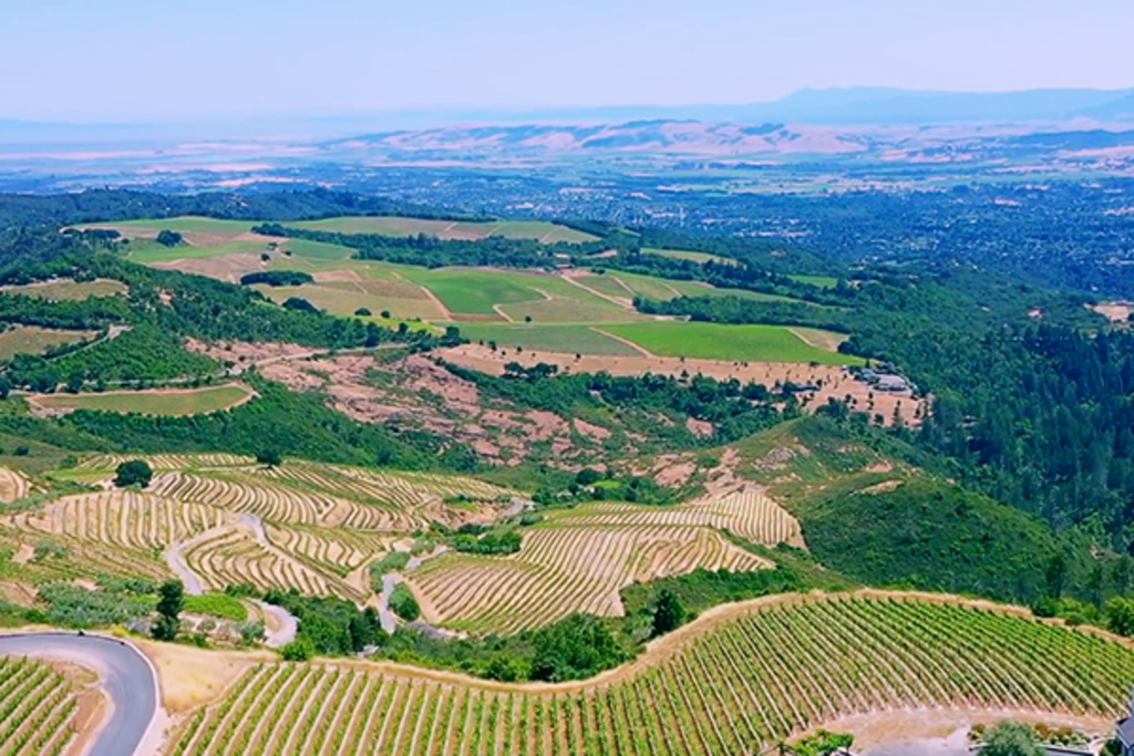 Mountain Terraces Winery and Vineyard