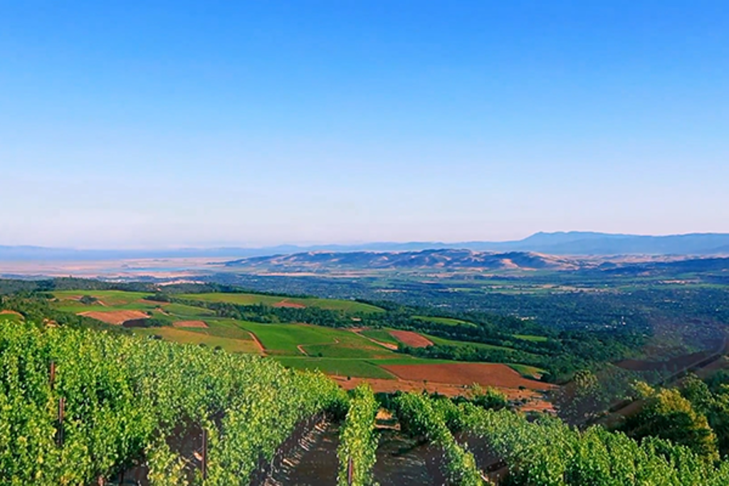 Mountain Terraces Winery and Vineyard
