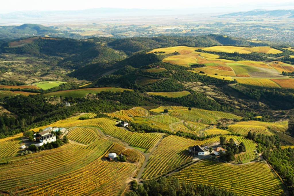 Mountain Terraces Winery and Vineyard
