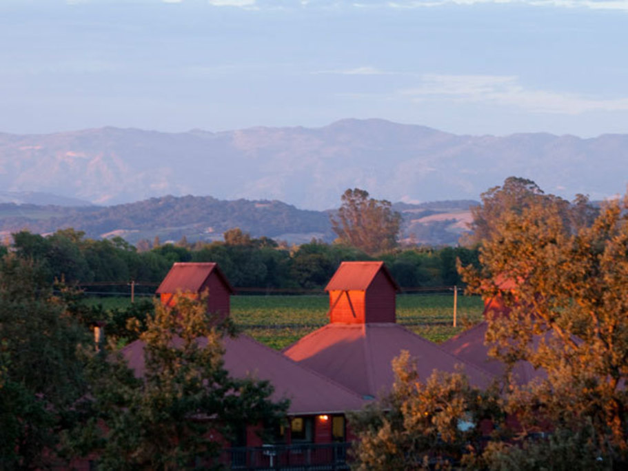 Sunset at Martinelli Winery